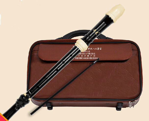 QiMei Brand Professional 8 Hol - Recorder Baroque Style recension och pris