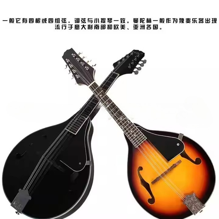 Tibetan Ethnic Musical Instrum - Musical Instrument Mandolin recension och pris