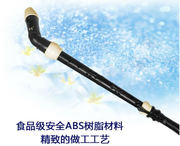 Professional 8 Holes Baroque B - Recorder Baroque Style recension och pris