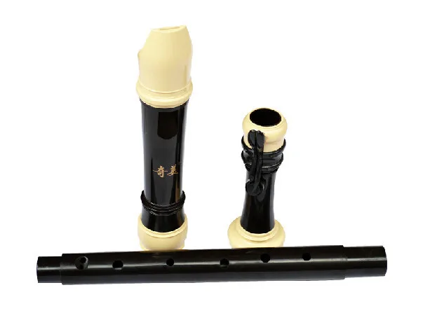 QiMei Brand Professional 8 Hol - Recorder Baroque Style recension och pris