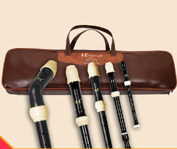 Full Set ABS Resin Recorder Fl - Recorder Baroque Style recension och pris
